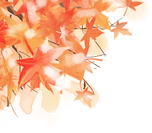 03accb8c-cae1-4332-a96c-02c71d735639.png