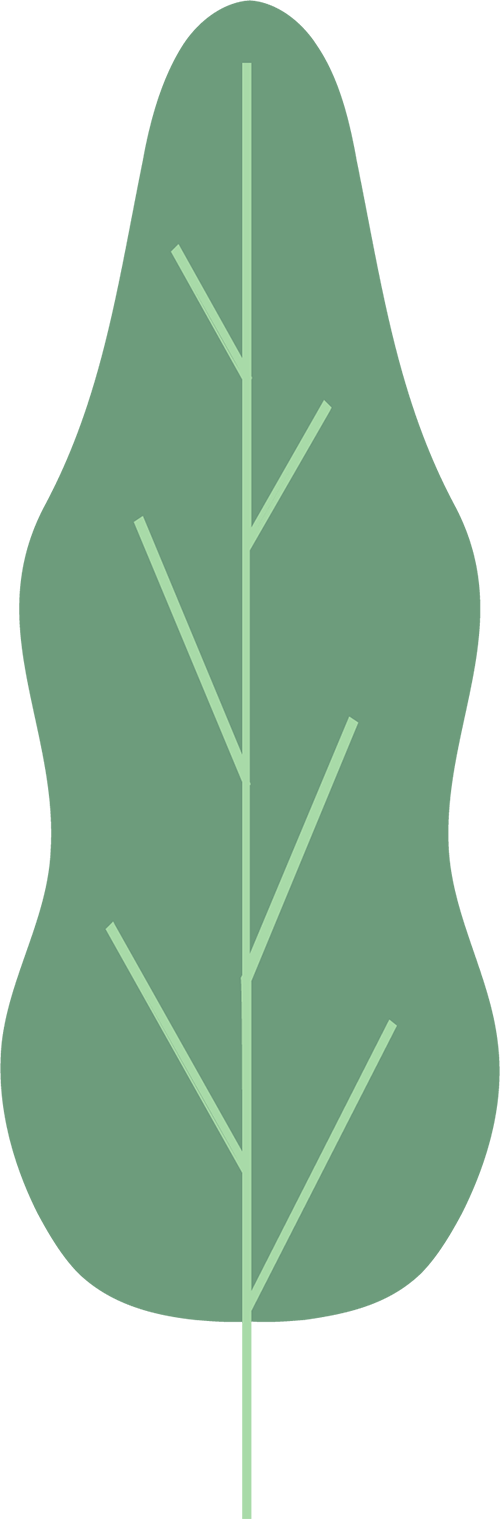 053372ef-d4f8-4831-aecd-42934c803365.png