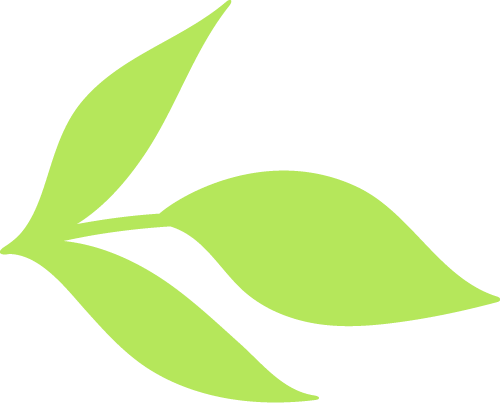 16a136c4-a0dc-4914-affb-ee602b05918f.png