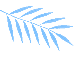 1a8ecfcd-1be9-4bb6-9896-f1d8b76e479a.gif