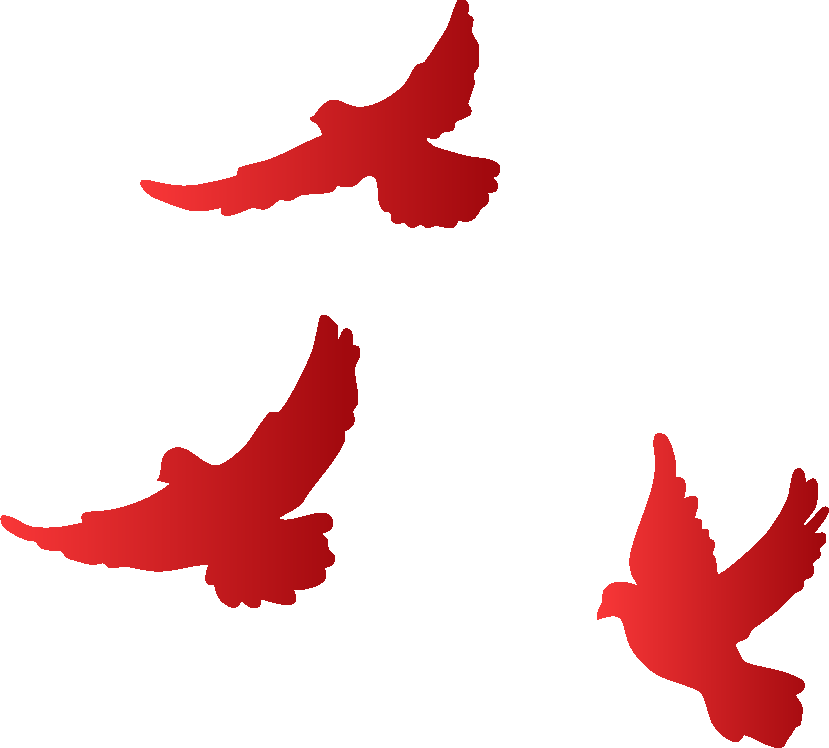 1c80a5d8-0f72-4b3a-bd4b-cb2d69263a0a.png
