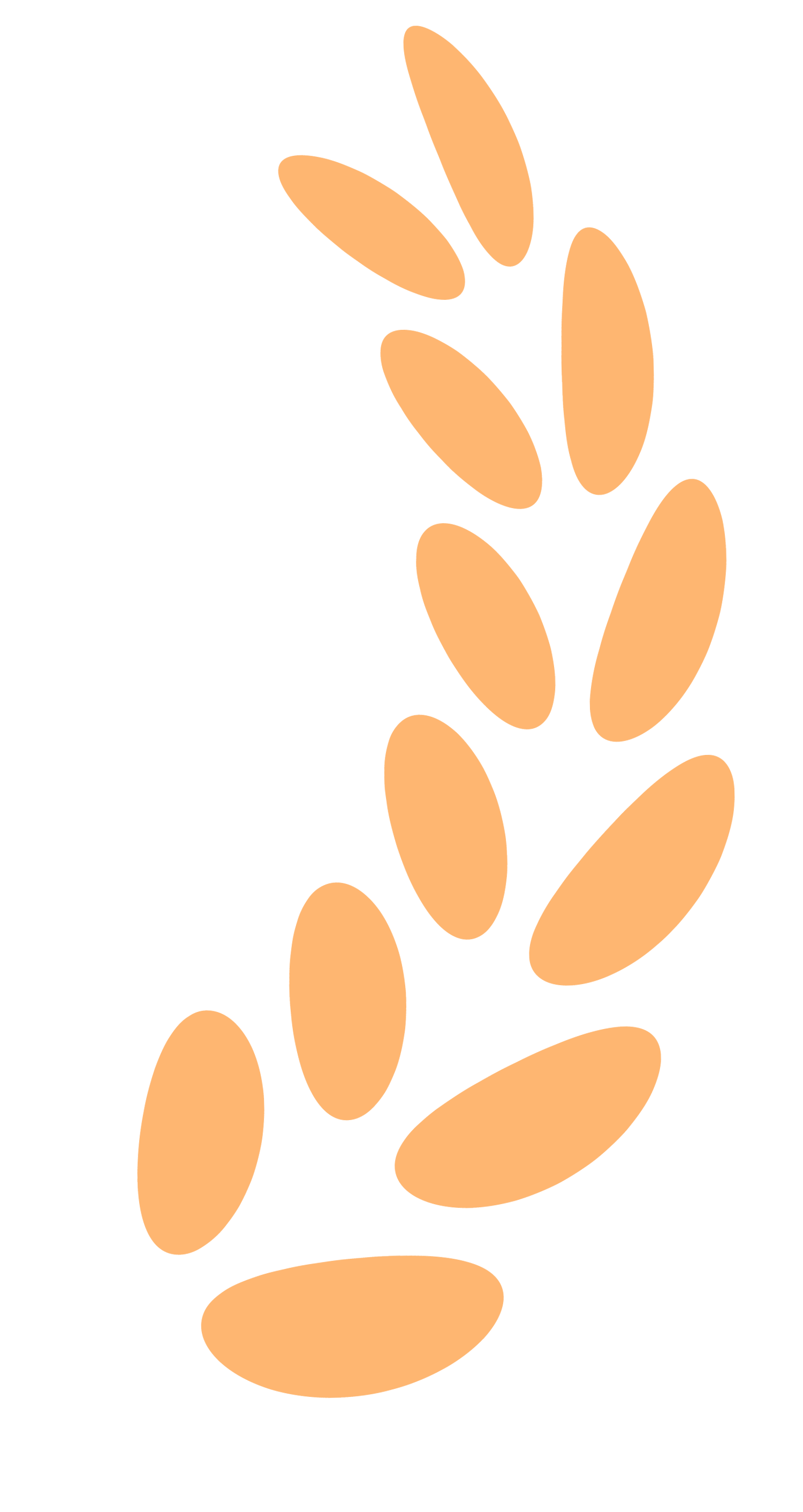 2ba0ce5c-392b-43fc-b571-a16dbebcea07.png