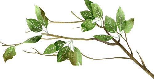 2c28c2ec-f2c3-49df-baf4-375315e925e1.png
