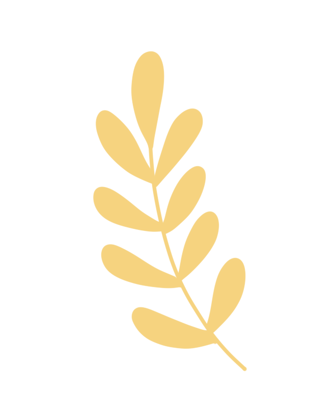 2f2ccc4f-88e2-421a-a210-47f6fadbc554.png