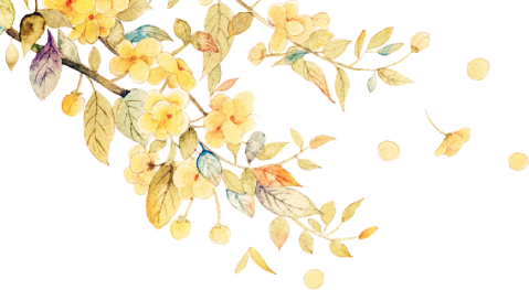 32fa4071-c9ba-425d-a7ea-0acb8a5f8fd3.png