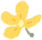 339438ba-be72-494f-8545-72045efd3524.png