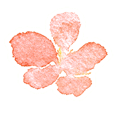 33a45be5-277f-4778-9d3f-e143fea0fc2b.gif