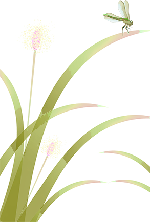 46706b39-8b50-4c31-9f0b-e7fe12f8a3a6.png