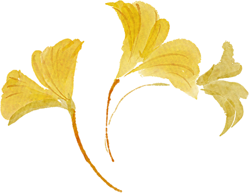 4b6b443f-277f-4599-aa49-ee8d36ffc964.png