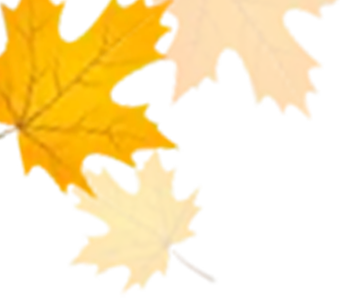 4d0eb1ee-d9fb-490c-8151-ca643054e7da.png