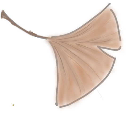 62dc7d3e-96b3-4505-8b01-ed0db89c72f6.png