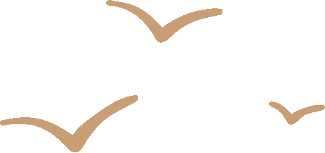 6b204ac4-d059-497c-a1d2-a6870d2be653.png