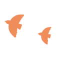 71a2346b-063b-44ea-995b-70dac8d0f8f4.gif