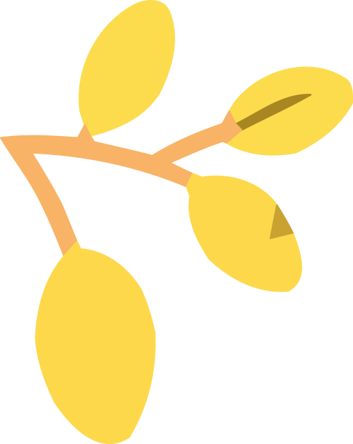 7868aec0-96f1-4548-a9cc-90213d2b1581.png