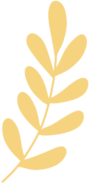 82574750-ac99-43aa-bd5f-fed136c35ba3.png
