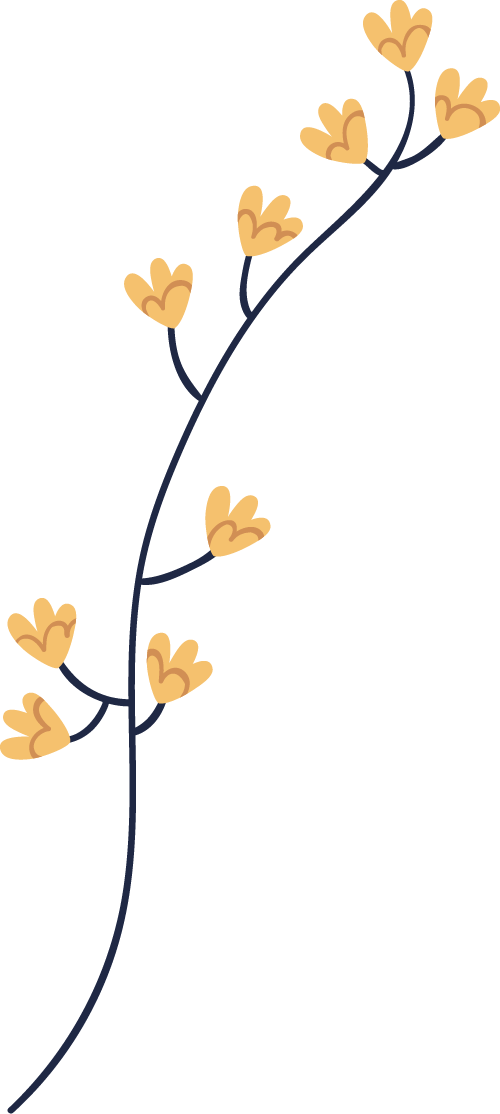 8a8f056a-66ab-4320-ada8-534d0205b780.png