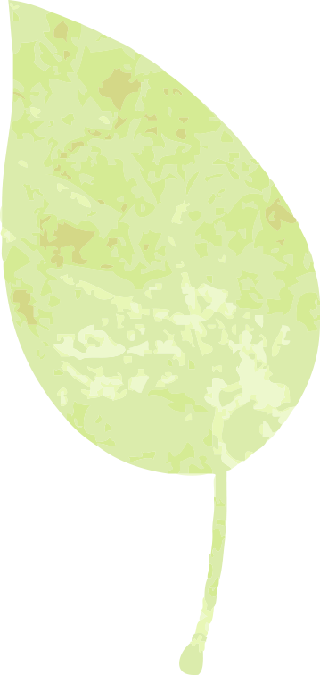 8dfab79d-b56b-406e-a1b0-28d4c826f33e.png