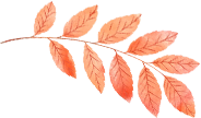 915d0980-dac8-408b-97e6-14b1eb8f87c9.png