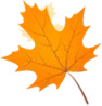 91b7e424-1a24-4f2d-832c-e158700aea6f.png