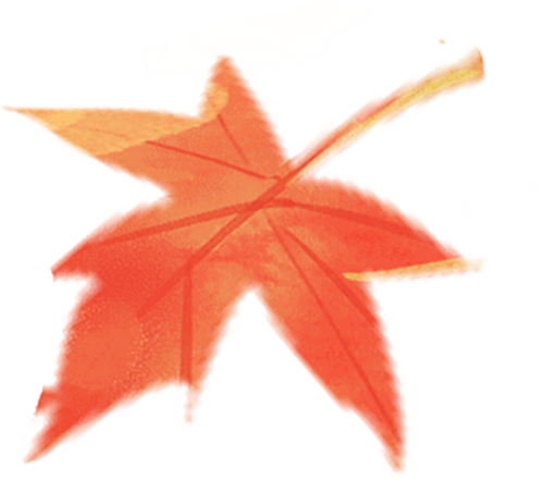 9686ae62-4202-46b4-8700-92cbee1c052a.png