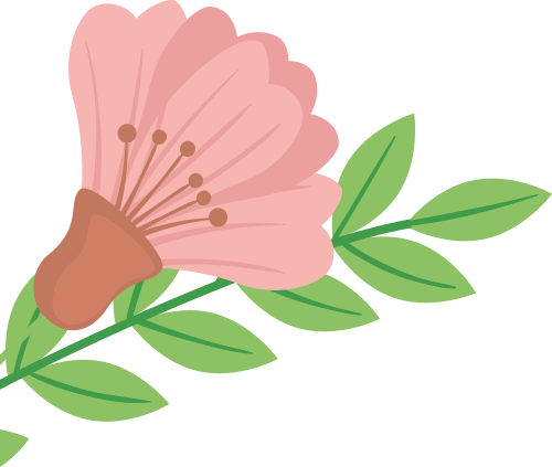 991ceee1-b6d2-4088-9237-3de3da687587.png