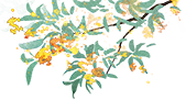 a3521779-3e62-4506-8921-3e19dc84c21b.png