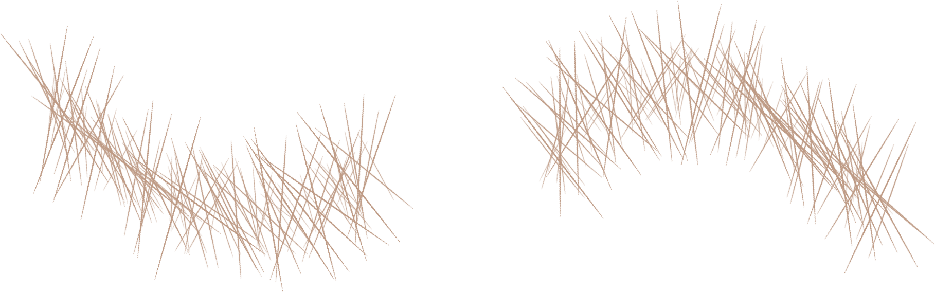 a8234a98-447f-4efd-a632-c2dc1f65aa50.png