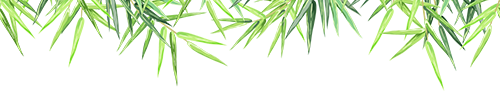 a961ee24-1ca3-4ea0-a2fc-4c565c87660f.png