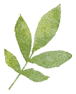 b4387e47-5ae5-4471-b648-8e780d90761d.png