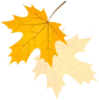 bab70962-3226-49ca-9106-f29c924c4623.png