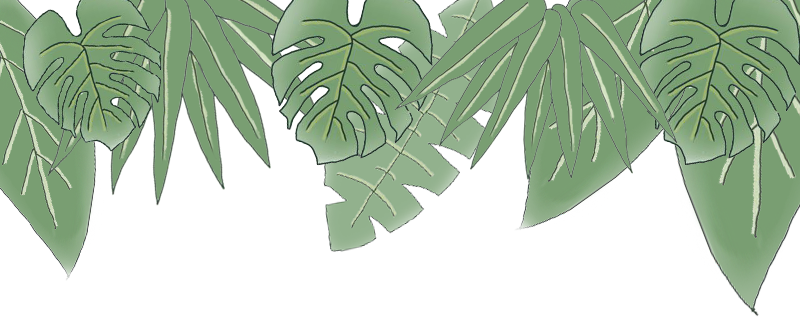 bb62e97e-4ad4-4863-ba98-201b57ca40cd.png