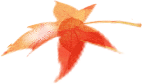 c2b5cfe3-1866-48ed-8b2b-0f8e9dfac930.png
