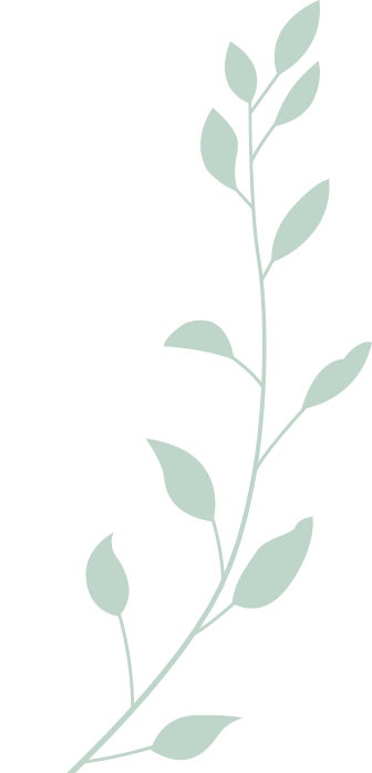 c7170fad-73f1-4f29-9844-41c14357441e.png