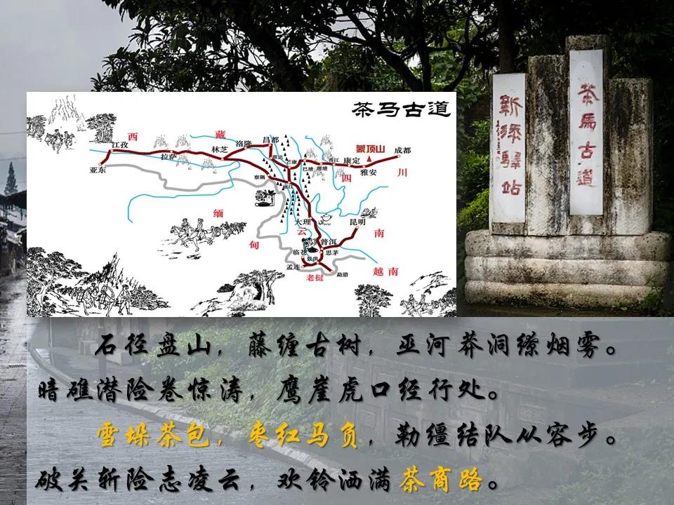 微信图片_20210609111723.jpg