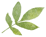 d65a06fe-3858-4da5-a970-23a656721ed5.png