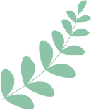 e8e9a232-323e-482c-8ad9-ddcd66a97260.png