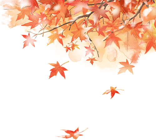ea533496-3f00-409b-8207-e95b947dabb5.png