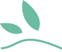 eeb4c56d-76f0-43d7-a294-1f58c2668f52.png