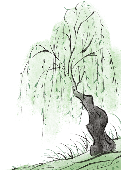 f4226227-a6b5-42f0-8bda-ae81e9918029.png