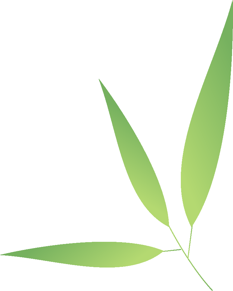 f56c9e74-340f-424d-ae80-4ad69d15da0e.png