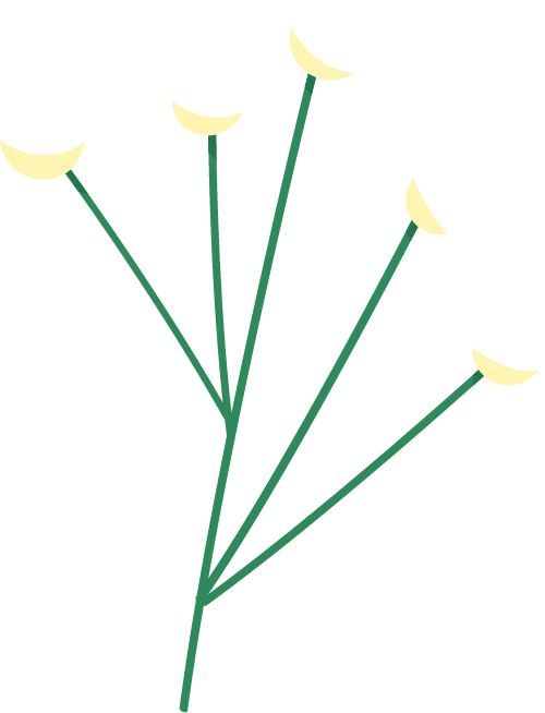 fc3f6a24-3818-46ec-ae33-1f490d8f5ce3.png