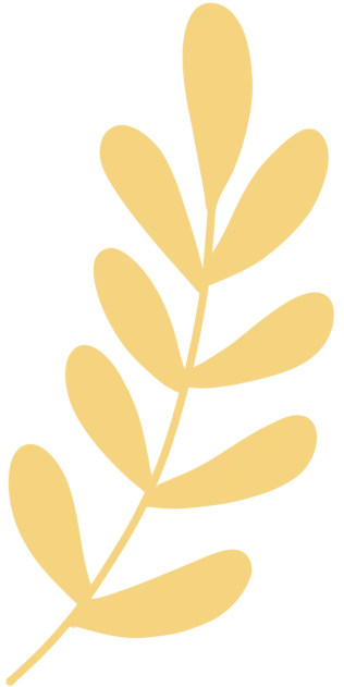 fe54cc4c-d507-4ec6-8247-505ed259757c.png